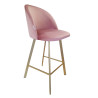 Hoker krzesło barowe Colin podstawa Profil złota MG58