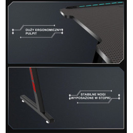 Biurko Gamingowe Komputerowe  LED dla gracza Carbon 120x60