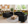 Sofa Monaco D1 – elegancka i wygodna do salonu