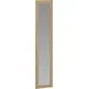 FORMO system szaf modułowych - FRONT F3 z lustrem