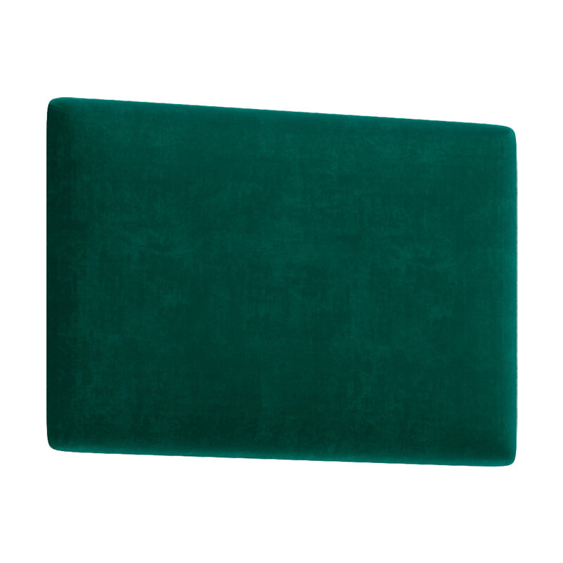 CLIF P-50 panel