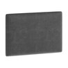 CLIF P-50 panel